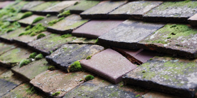 Dean roof repair costs